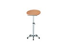 MAUL Ergonomisches Stehpult